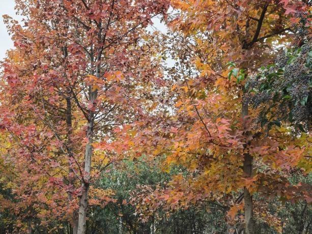 风光正好！来天门邂逅冬日暖阳