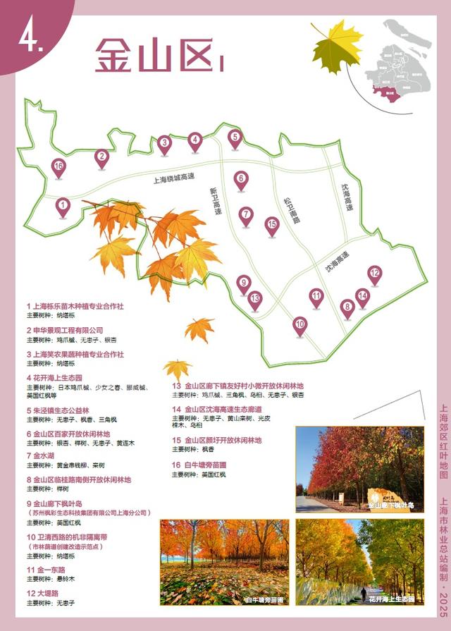 红叶地图出炉，闵行限定秋景就在→