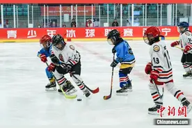 青少年冰球小将驰骋高原冰场 上演“速度与激情”图片