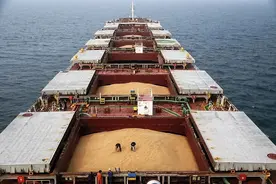 美国农场主遭遇关税战逆风图片