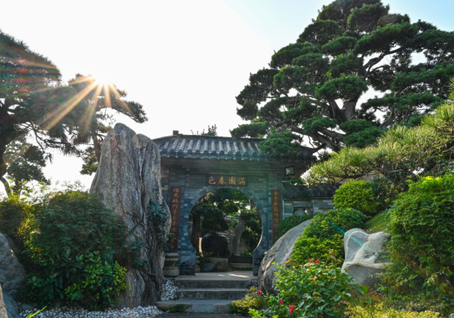 国庆就要玩好一点，“情”定陈村花花世界迷人眼