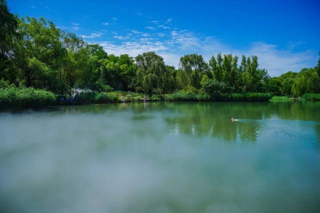 薄雾飘散！海淀这个公园，开启“仙境”模式