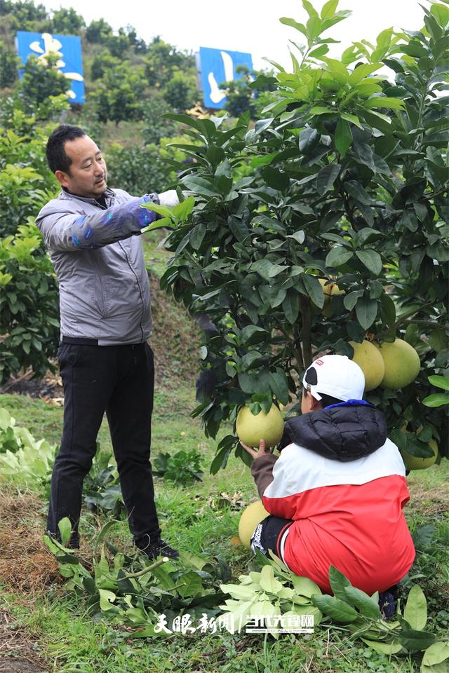 【多彩小水】绿水青山入画来，此间风景正好｜多彩之绿