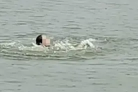 事发合肥市南艳湖公园！59岁保安大叔跳水救人！他还有另一重身份图片