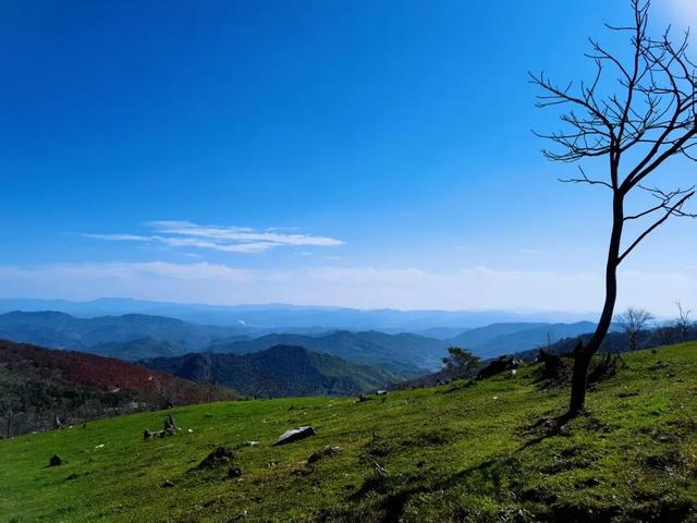 省媒看白山 | 吉林日报：四方山中秋意浓 层林尽染似画卷