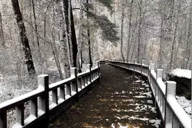 赏秋韵雪景 “中国最冷小镇”降雪图片