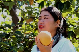 晚霞映照，梨花满山！让乡村美起来的“黄梨姑娘”丨俺是新农人图片