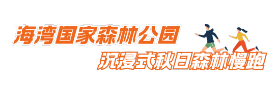 这三条慢跑路线，让你享受申城秋日风景