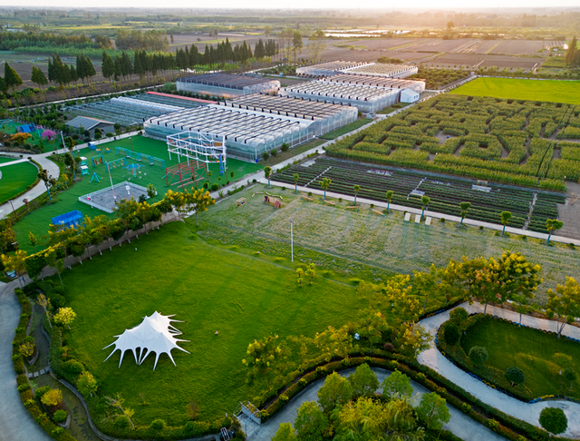 宝藏仙桃，太“鲜”啦！（采风招募）