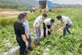 点赞|惠城融媒：打开西瓜销路，公益助农获称赞图片