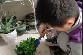 济南高新一实验一（38）班举办“植此新绿，拥抱春天”活动图片