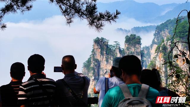 张家界错峰游热度高 天子山云海胜景醉游客