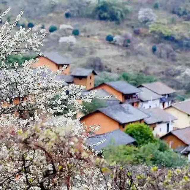 邀您打卡东起乡 解锁秋日限定山水画卷