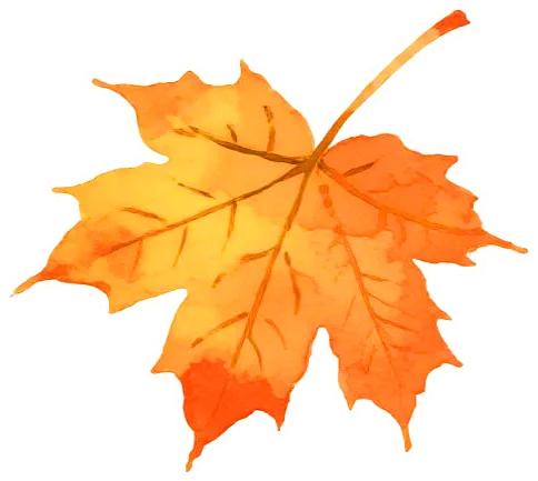 心归永安才叫安!这份永安A级旅游景区游玩指南,藏着你要的诗与远方