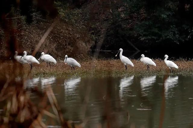 美绝！西安初冬的含金量还在上升！