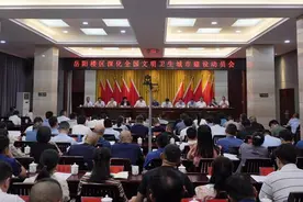 岳阳楼区召开深化全国文明卫生城市建设动员会图片