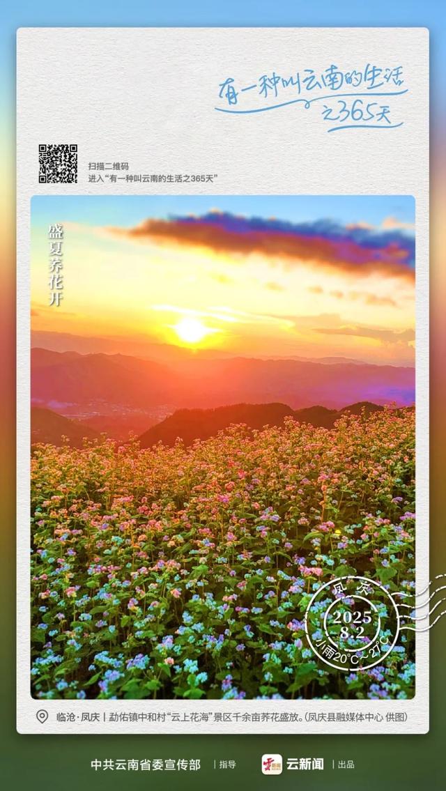 临沧有一片粉色的“海”丨有一种叫云南的生活之365天