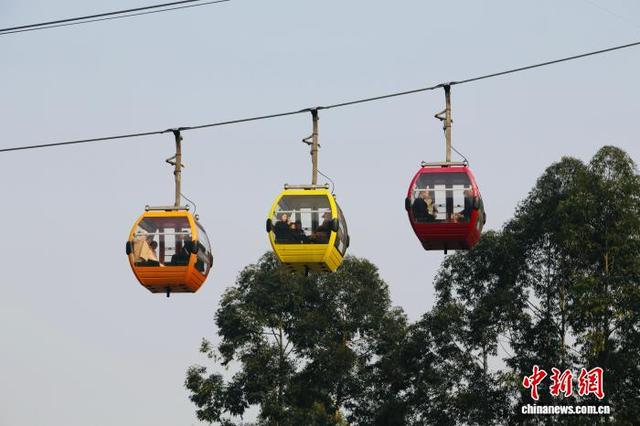 重庆涪陵：“三九”暖阳好风光 索道览江兴致浓