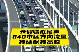 G40迎返程高峰 返沪方向堵成“猪肝红”图片