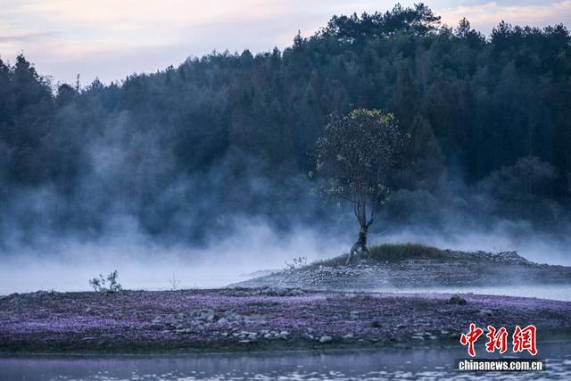 安徽奇墅湖畔晨雾美如画