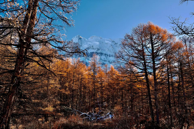 美上央视的秋景，这十条路线请你选！