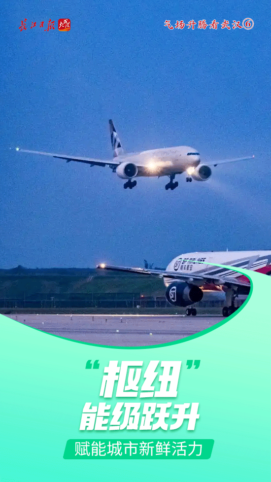 不靠海的武汉，何以成为全球生鲜“高速入口”