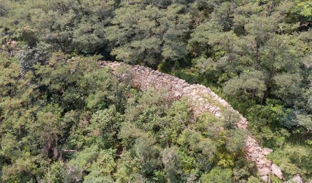 圆满收官！肥城这波 “山野快乐” 直接拉满~