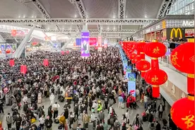 春运返程开启：务工人员提前出发，铁路发送客流高峰将出现图片