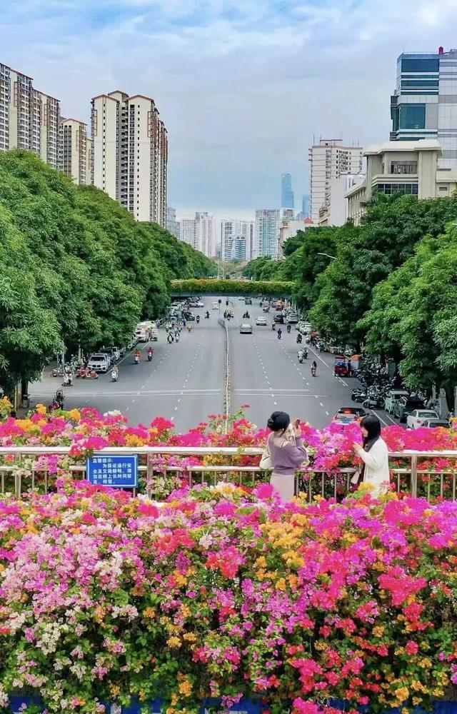 刷屏朋友圈！11月的浪漫被TA承包了，这场缤纷花事太治愈！