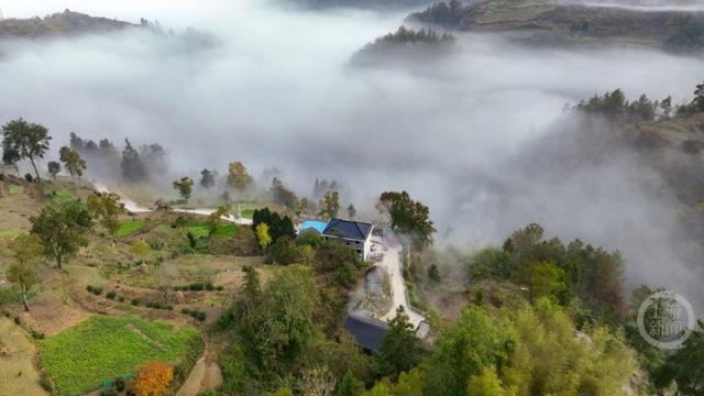 云雾为墨 这里的山色自带“滤镜”