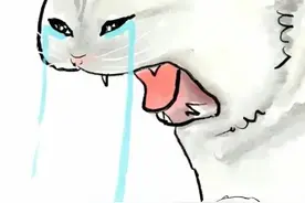 广场舞孃孃们从不emo？真相竟是……图片