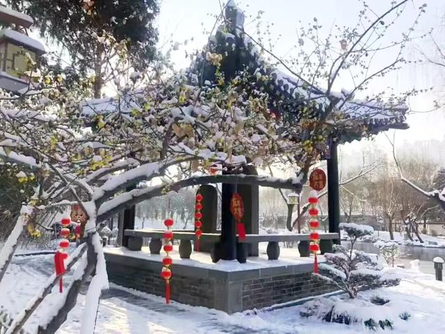 冬享沂蒙过大年：待明日，同访琅琊梅香