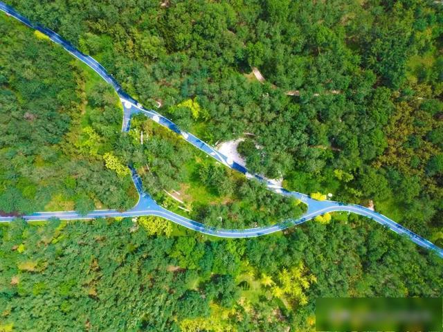 【乐游烟台】沿海穿林登山，在烟台黄渤海新区收集三种风景！