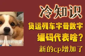 冷知识！货运列车也有CP？字母数字编码这样记图片