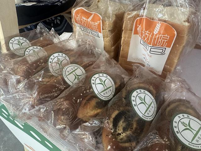 从种优质小麦到卖爆品面包，科技小院农学生如何串起“地头-舌尖	”全产业链？