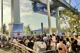 彻底火了！武汉街头大排长队，新顶流来了图片