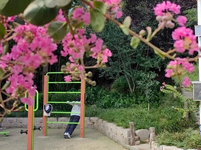高温过后，来青岛这个山头公园“出出暑”吧