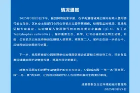 弹弓事件后续！男子用弹弓射击小鸊鷉 公安机关已传唤两人图片