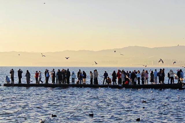 看日出、追红嘴鸥、拍婚纱……总要去一次大理龙龛码头吧！