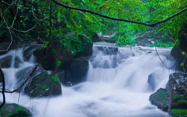 “我想离开看浪浪山”，去江西看看！