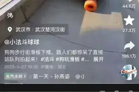 法斗犬玩滑板走红，主人：不会刻意打造“狗设”图片