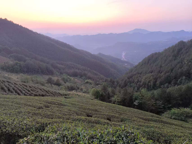 缙云丨阚敬侠：乙巳九月重庆云阳纪行