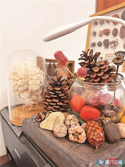 秋韵无限 鹭岛掀起“捡秋热”