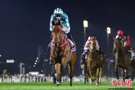 香港赛马“浪漫勇士”第四次海外夺冠图片