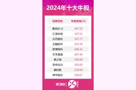 2024年十大牛股！这只股问鼎榜首→图片