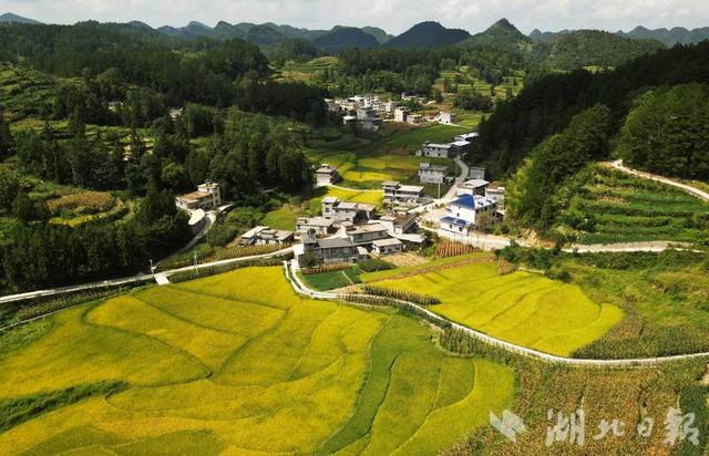 咸丰大铧尖村：高山田园“丰”景美