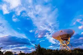 白露至，候鸟飞，一起去观鸟！图片