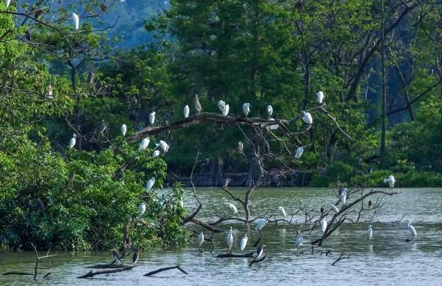 最近，星湖美景亮相广州！你发现了吗？