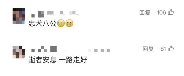唏嘘！55岁资深男演员被发现在家中去世，多日无人察觉！曾出演多部经典作品