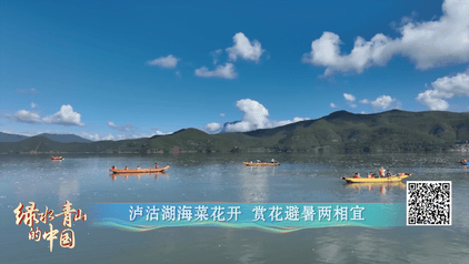 在云南，解锁荷花的N种吃法！